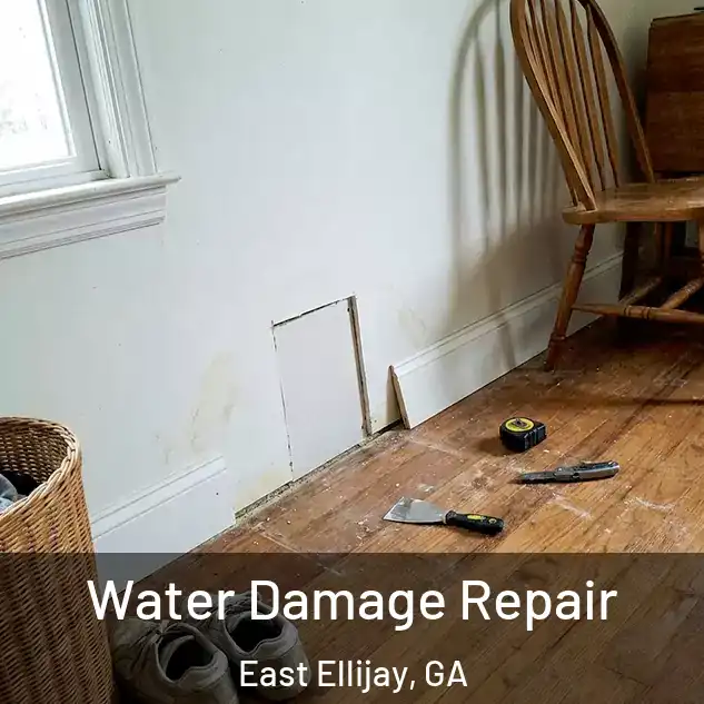  Water Damage Repair East Ellijay, GA