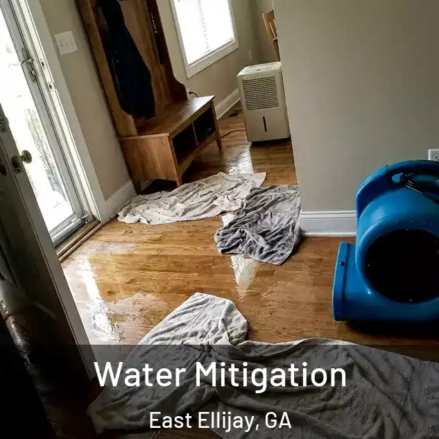  Water Mitigation East Ellijay, GA