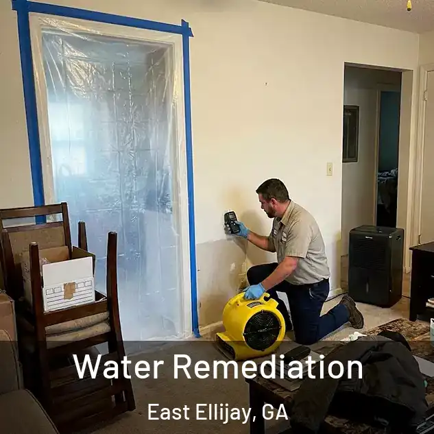  Water Remediation East Ellijay, GA