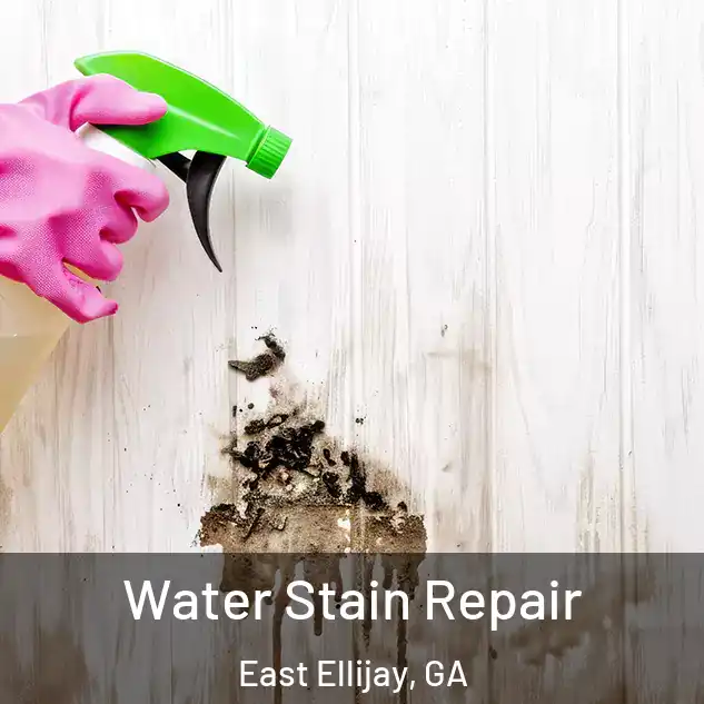  Water Stain Repair East Ellijay, GA