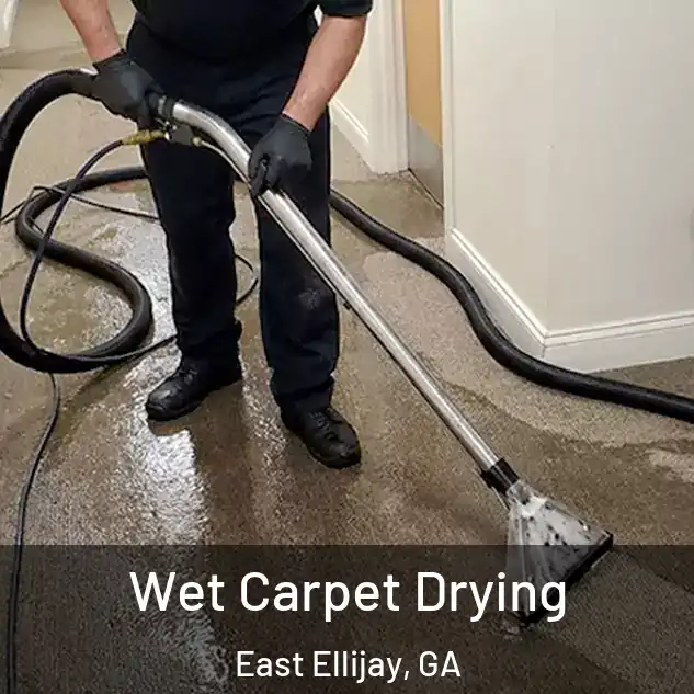  Wet Carpet Drying East Ellijay, GA