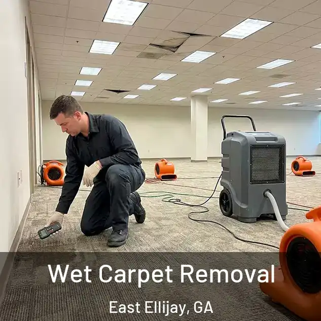  Wet Carpet Removal East Ellijay, GA